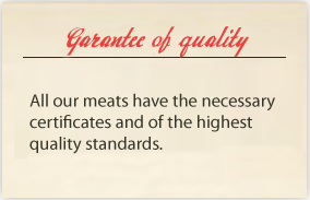 garantia de calidad